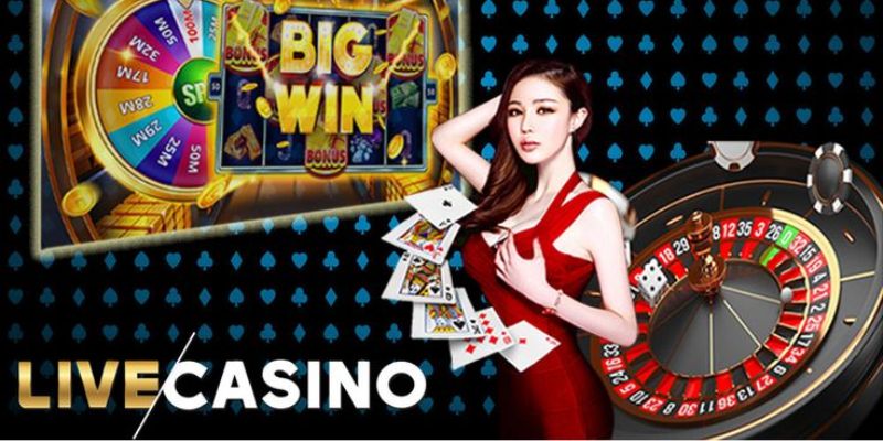 Cung cấp những trò chơi casino đẳng cấp