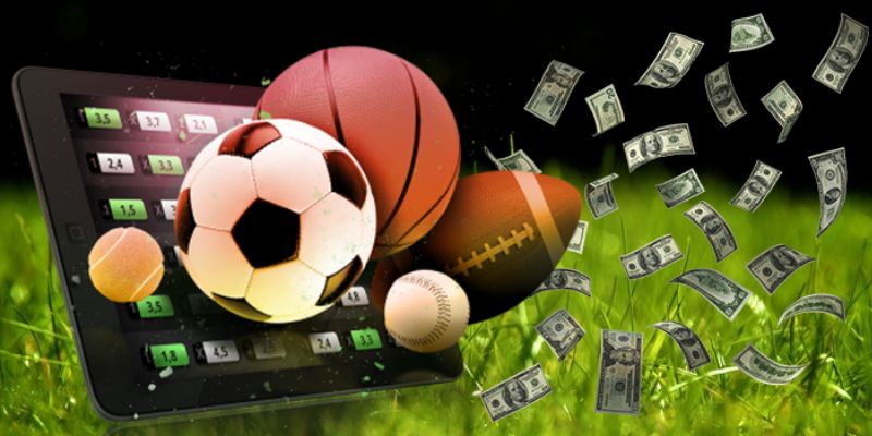 Sảnh thể thao IM SPorts W9bet