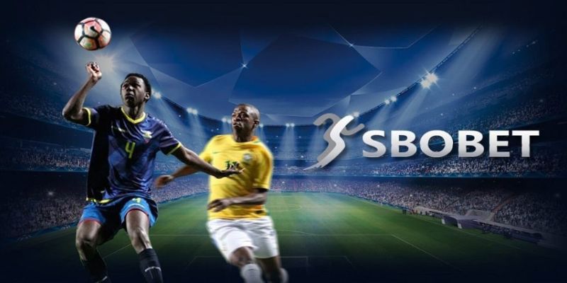 sbobet-w9bet-ava